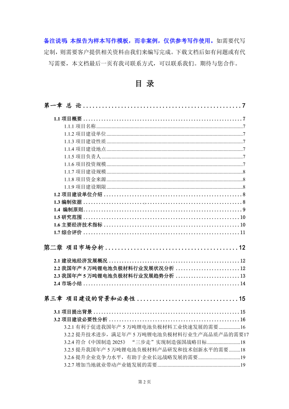 年产5万吨锂电池负极材料项目可行性研究报告写作模板定制代写.doc_第2页