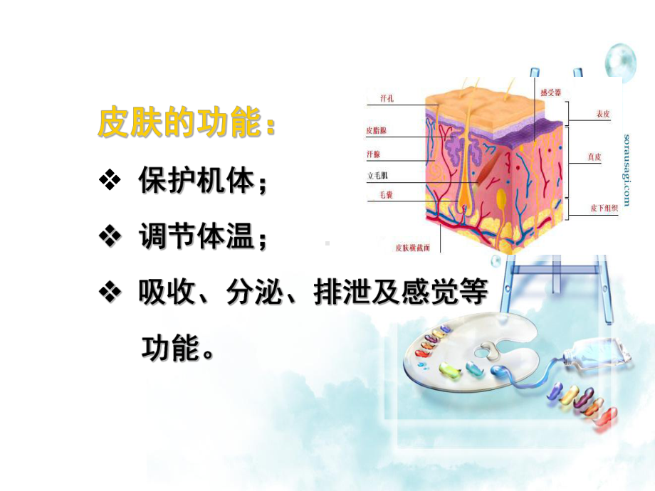 病人清洁卫生课件4.ppt_第3页