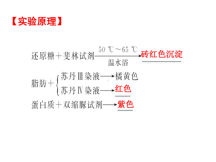 糖类、脂肪和蛋白质鉴定一轮复习课件.ppt_第3页