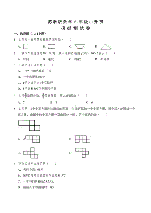 苏教版数学六年级小升初试卷及答案(DOC 16页).doc