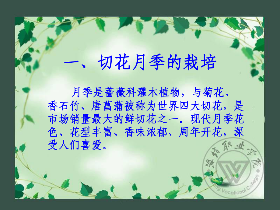 四大切花栽培课件.ppt_第3页