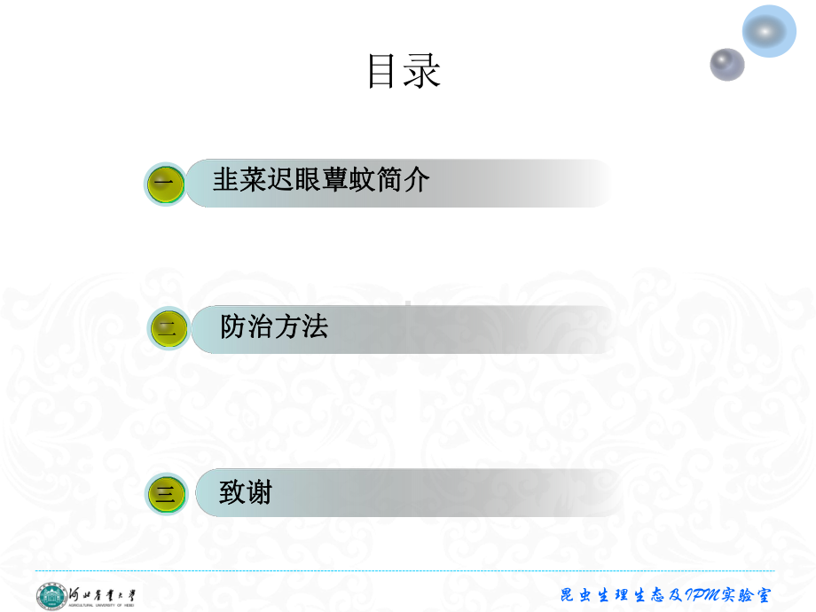 韭菜迟眼蕈蚊综述课件.ppt_第2页