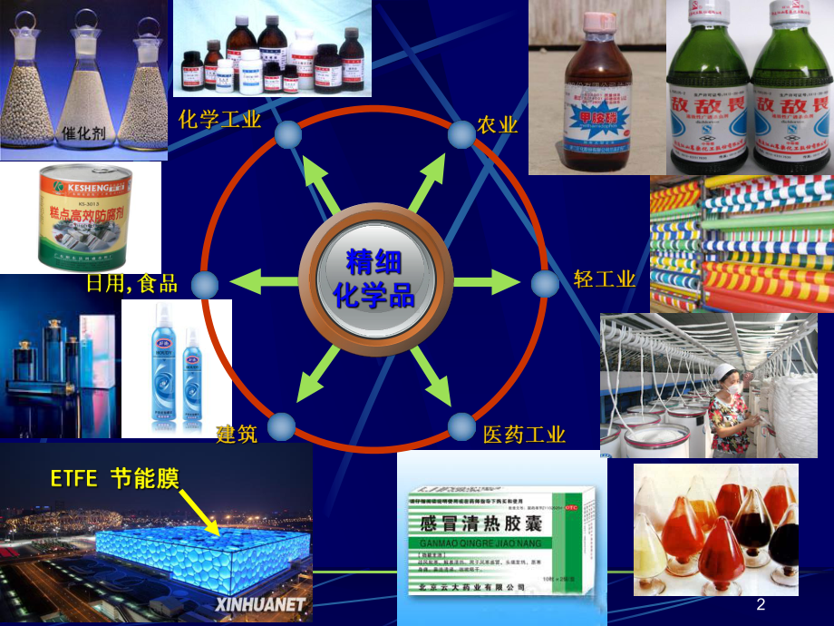 精细化学品化学-绪论课件.ppt_第2页