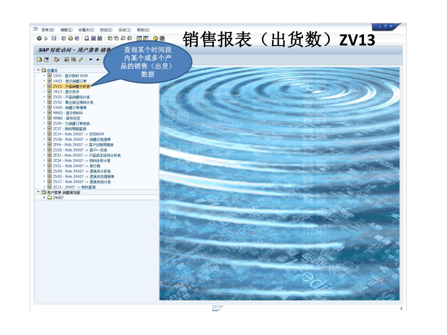 常用SAP报表课件.pptx_第2页