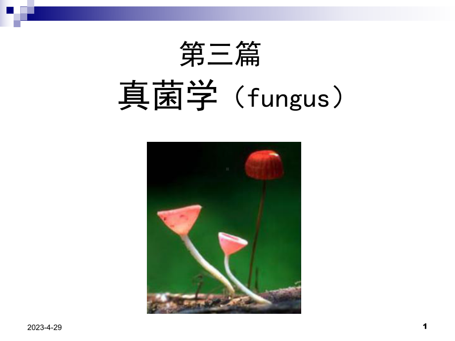 机会致病性真菌课件.ppt_第1页