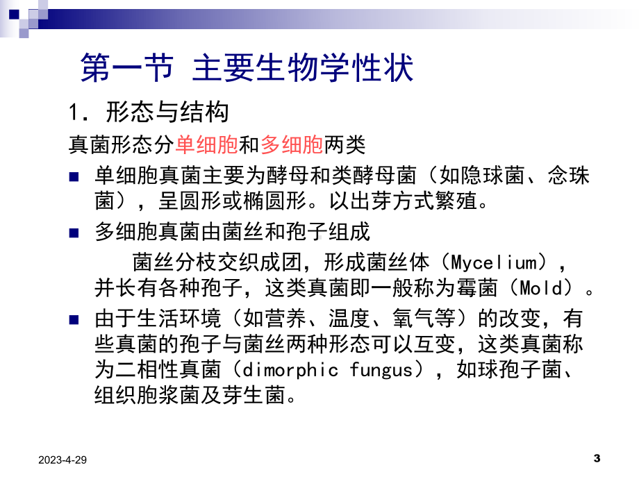 机会致病性真菌课件.ppt_第3页