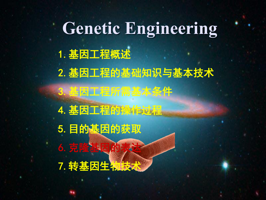 六、克隆基因的表达课件.ppt_第2页