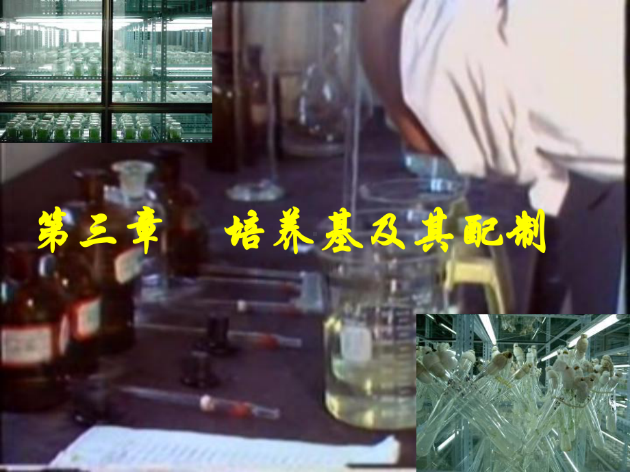 培养基及其配制.ppt_第1页