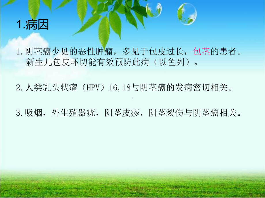 阴茎癌讲座课件.ppt_第2页