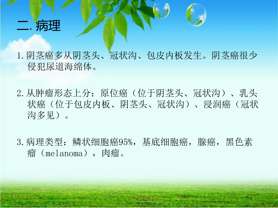 阴茎癌讲座课件.ppt_第3页