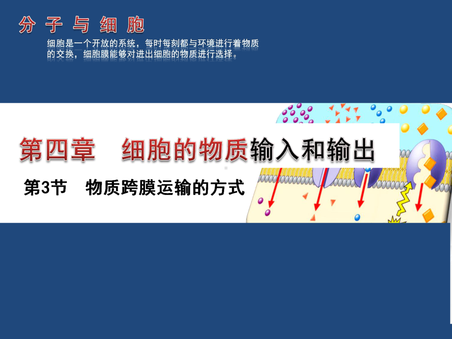 如葡萄糖进入红细胞等协助扩散facilitate课件.ppt_第1页