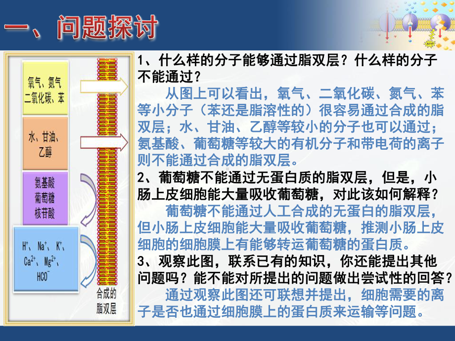 如葡萄糖进入红细胞等协助扩散facilitate课件.ppt_第3页