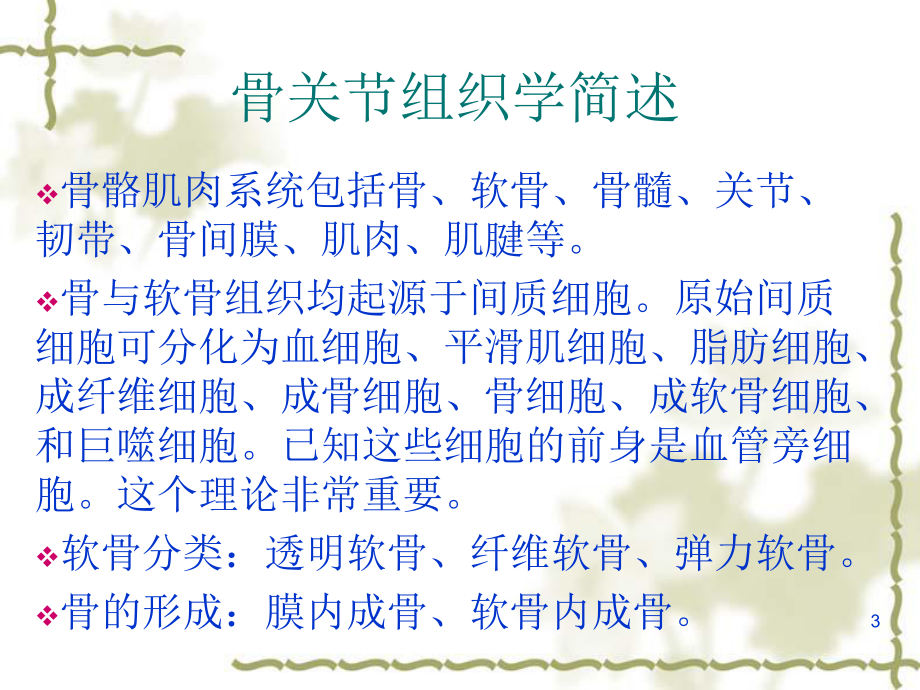 骨关节教学讲解课件讲义.ppt_第3页