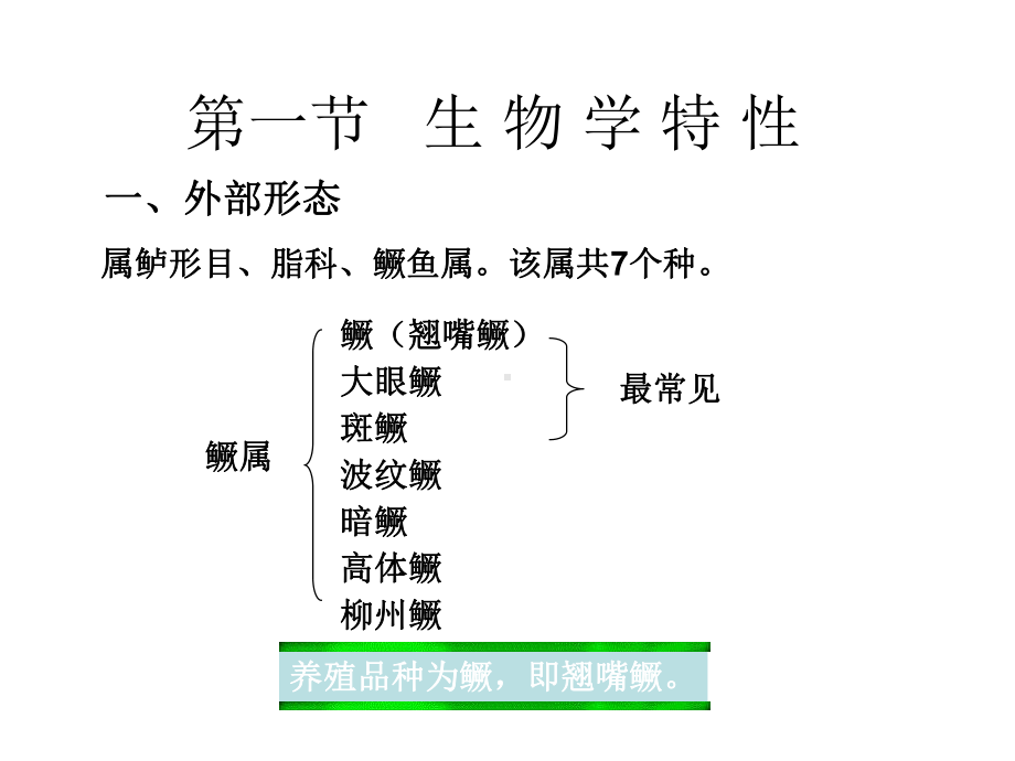 5《特种水产养殖学》-2名特鱼类养殖-1.ppt_第3页