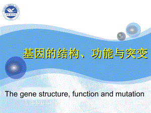 基因的结构`功能与突变.ppt