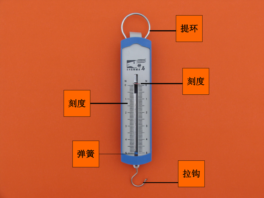 青岛版小学科学四年级下册《测量重力》课件.ppt_第3页