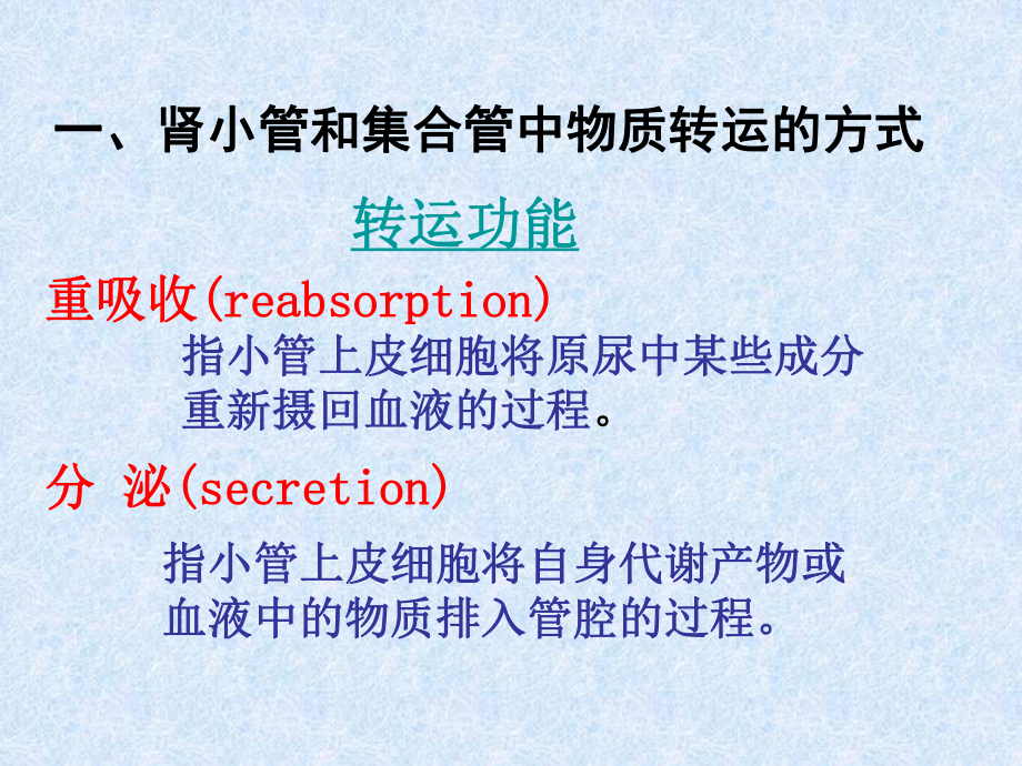 跨细胞转运途径细胞旁转运途径课件.ppt_第2页