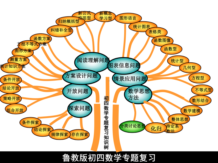 鲁教版初四数学专题复习课件.ppt_第1页