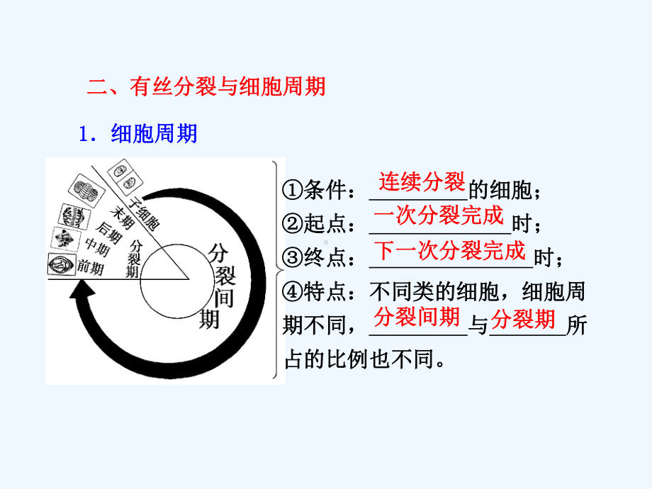 高三一轮复习细胞的生命历程课件.ppt_第2页