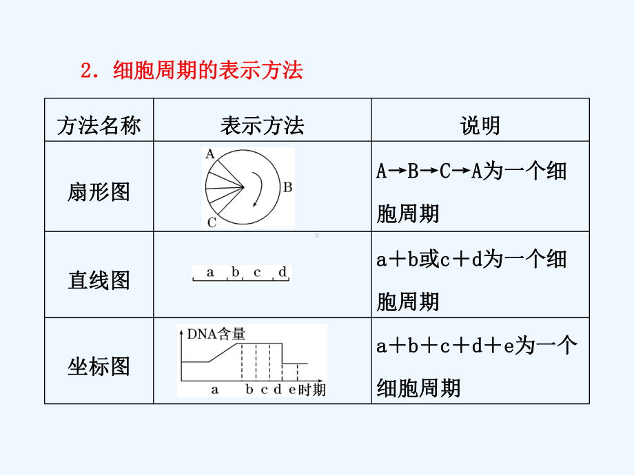 高三一轮复习细胞的生命历程课件.ppt_第3页