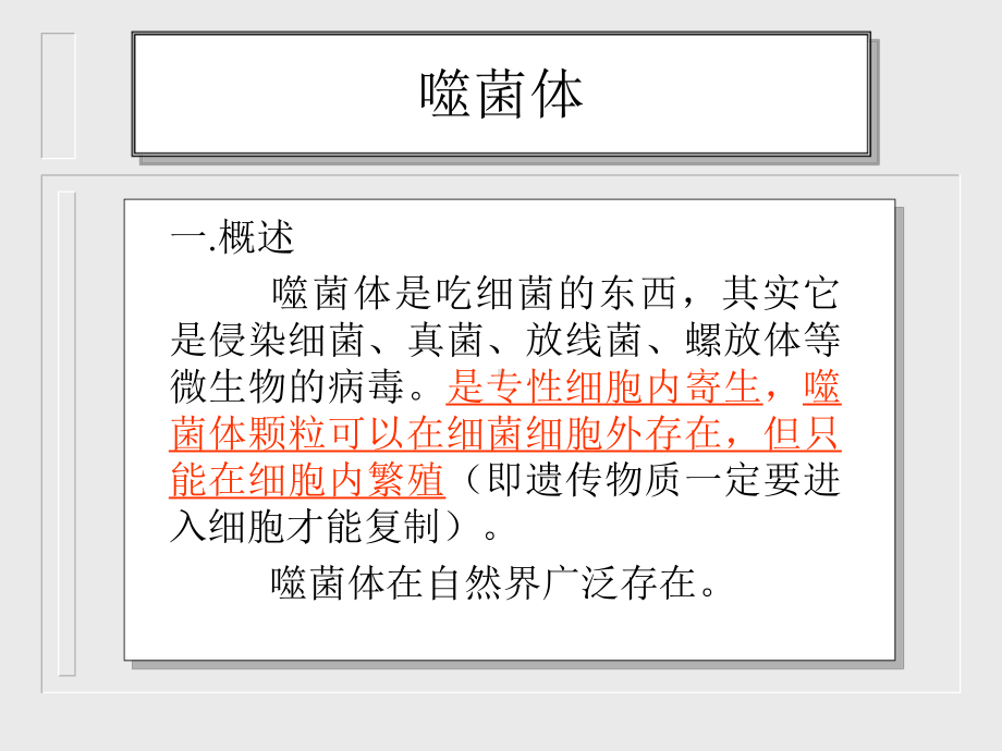 噬菌体介绍课件.pptx_第2页