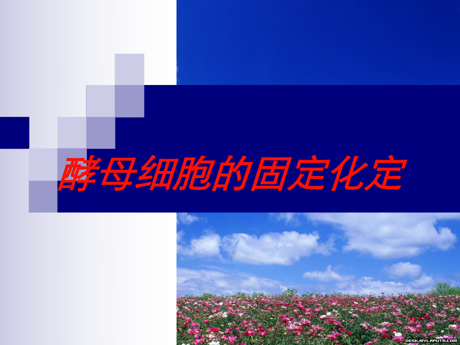 酵母细胞的固定化定培训课件.ppt_第1页