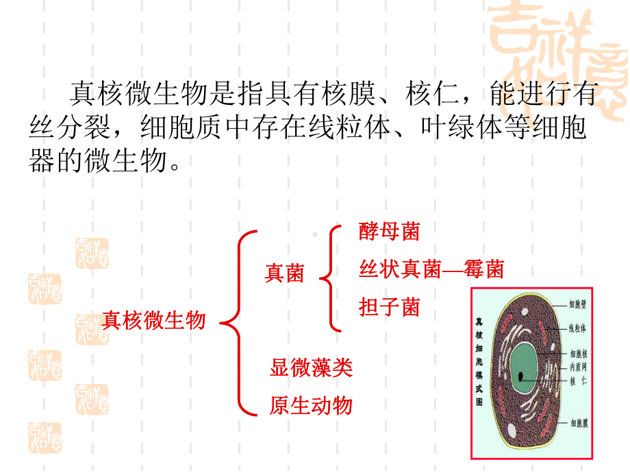 酵母菌的繁殖和生活史课件.ppt_第2页