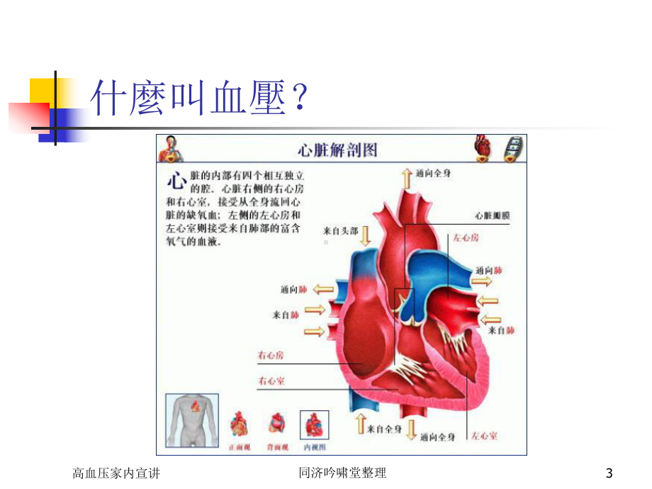 高血压家庭内部宣讲版-资料课件.ppt_第3页