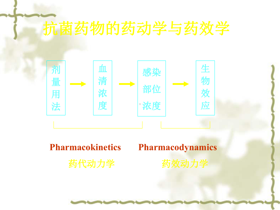 常用抗菌药物应用讲义课件.ppt_第3页