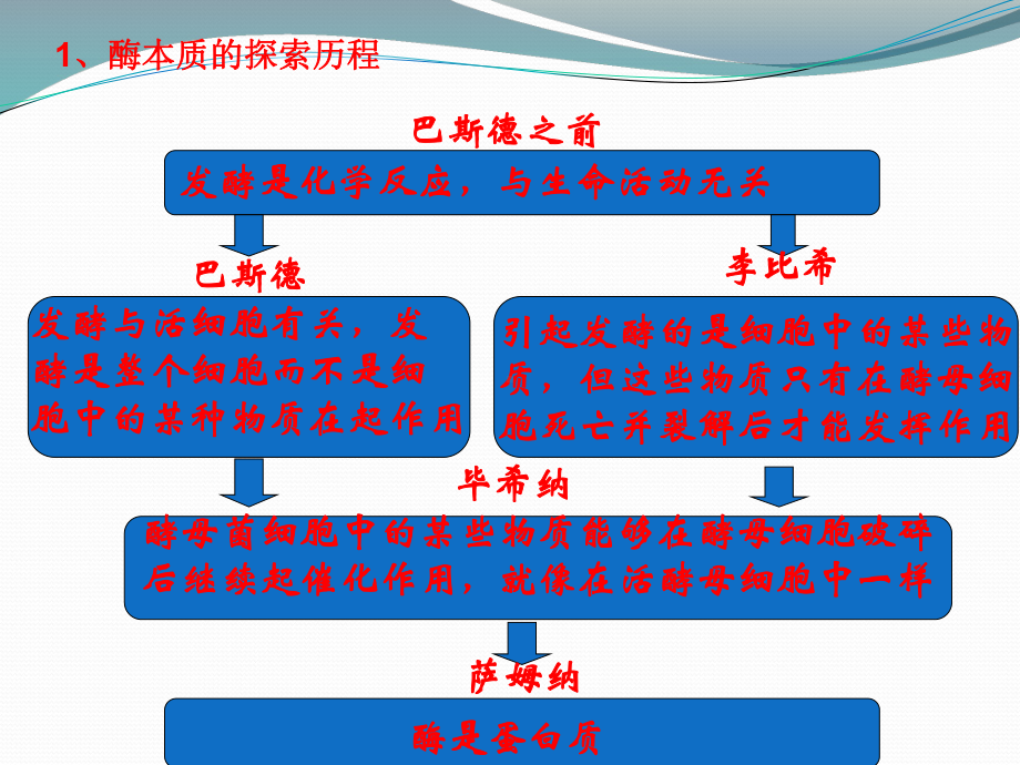 酶-一轮复习课件.ppt_第2页