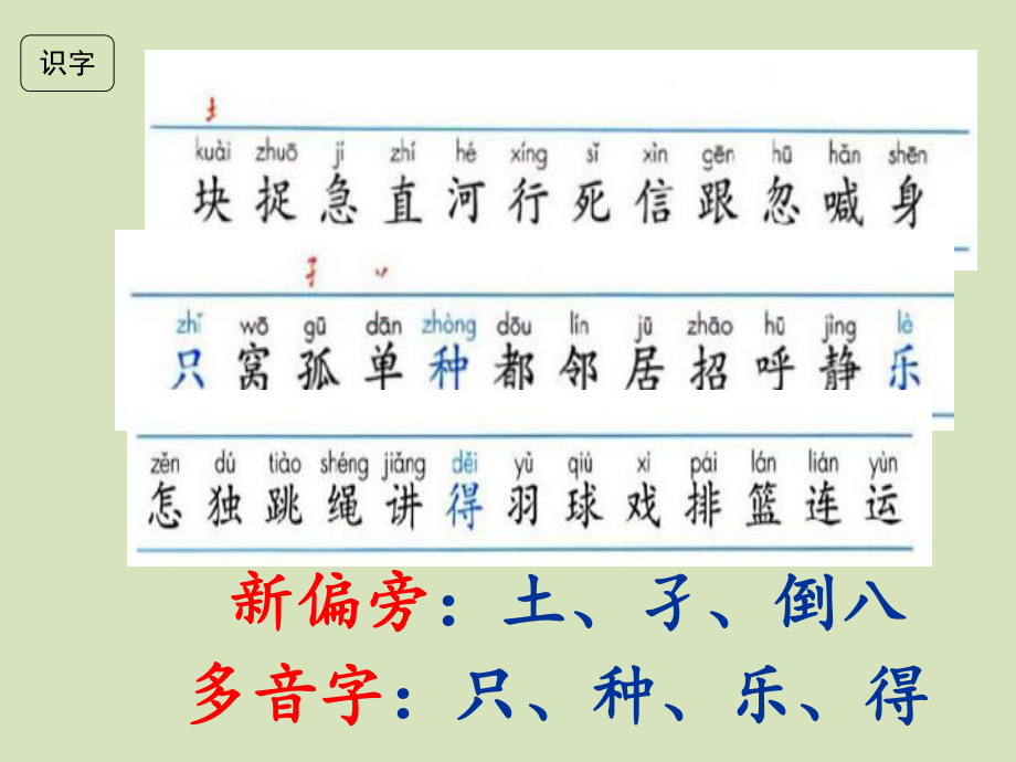 部编版一年级下册语文第三单元复习讲解学习课件.ppt_第3页