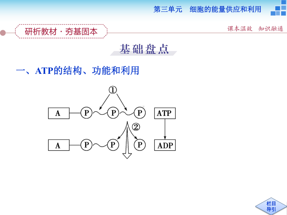 高三生物一轮复习课件.ppt_第3页