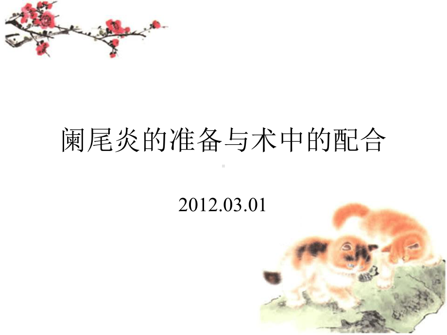 阑尾炎的准备与术中的配合课件.ppt_第1页