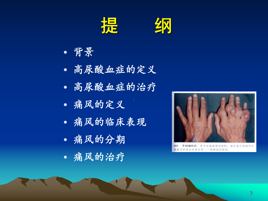 高尿酸血症与痛风(同名335)课件.ppt_第2页