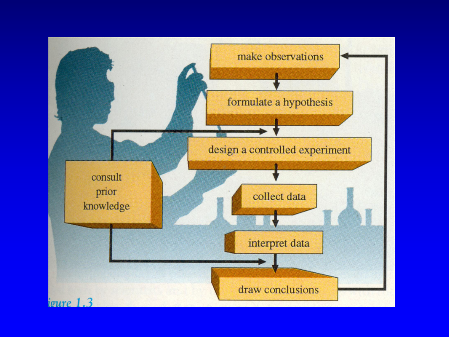 分子病理学方法优质课件.ppt_第2页