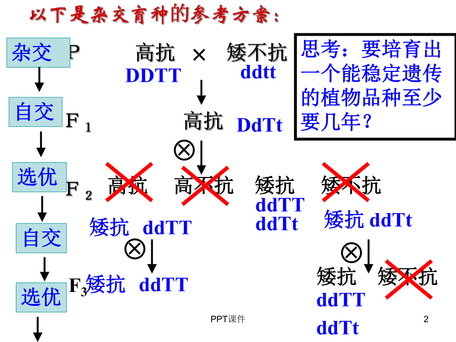 高三一轮复习：从杂交育种到基因工程-课件.ppt_第2页