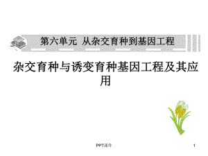 高三一轮复习：从杂交育种到基因工程-课件.ppt