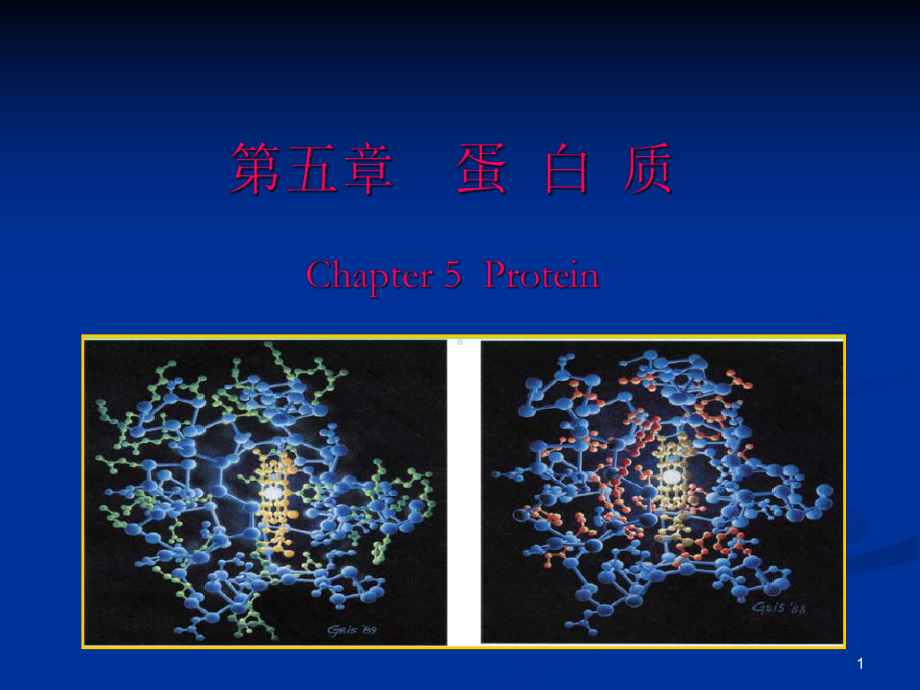 食品化学05第五章-蛋白质详解课件.ppt_第1页