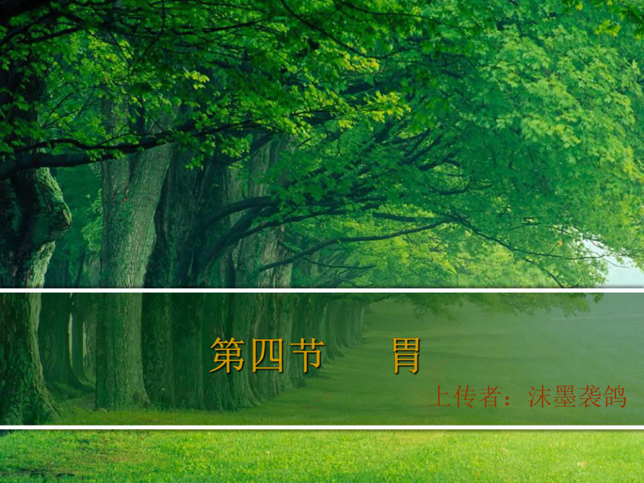 系统解剖学胃课件.ppt_第1页