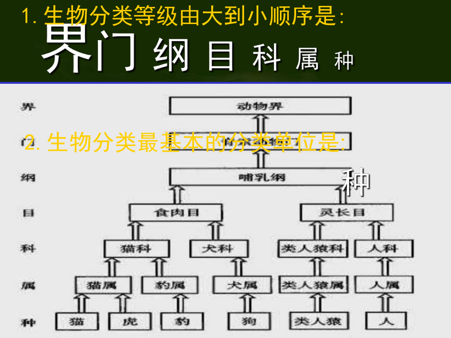 6.2认识生物的多样性1.ppt_第2页