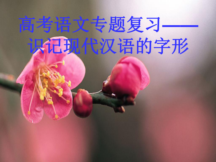 高考语文专题复习-字形课件.ppt_第1页