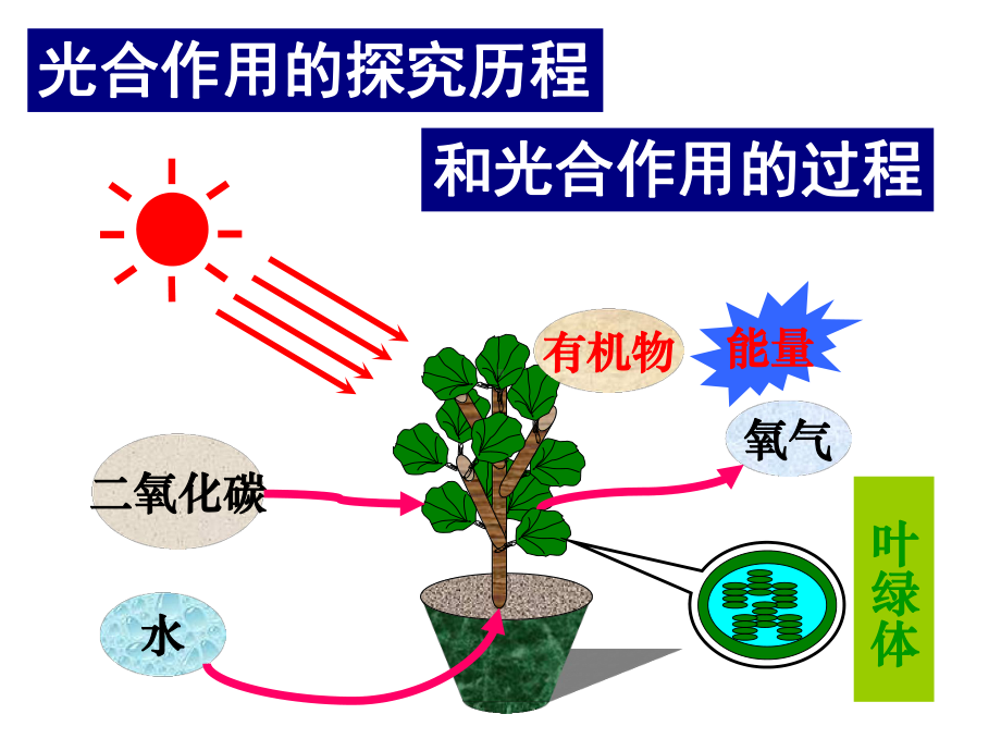 光合作用的探究历程和光合作用的过程课件.ppt_第2页