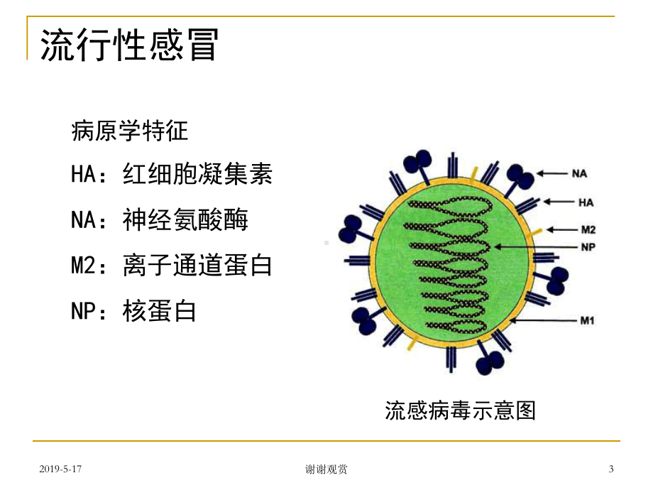 四、流行性感冒课件.ppt_第3页