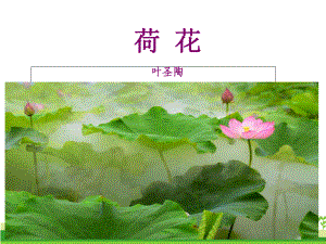 部编版课件《荷花》课件10.ppt