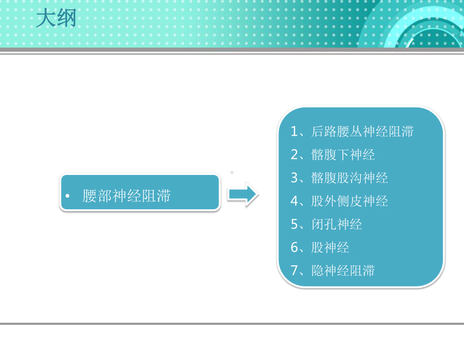 超声引导下腰丛神经阻滞-课件.pptx_第2页