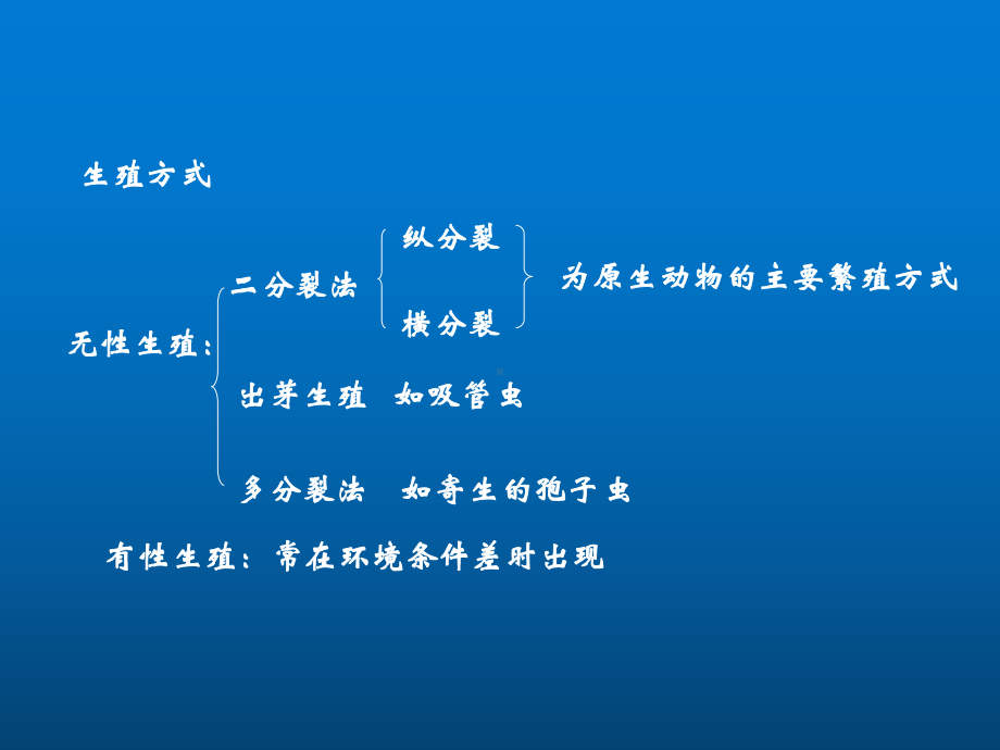 环境微生物学项目1-3-原生动物+后生动物课件.ppt_第2页