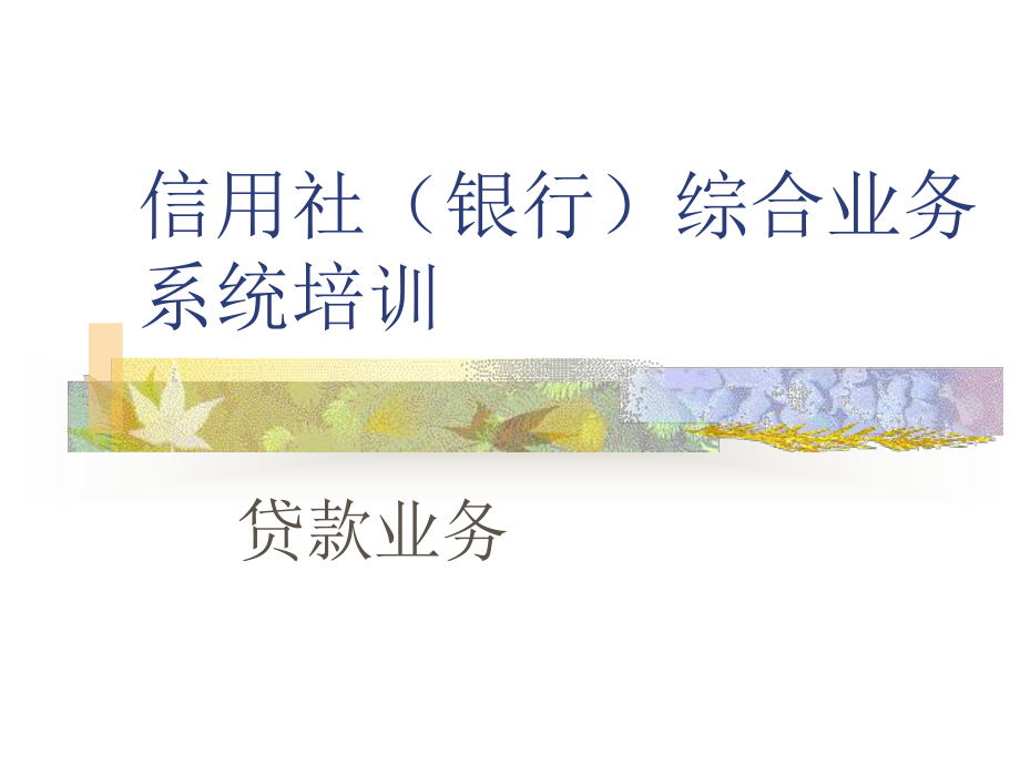 信用社(银行)综合业务系统培训(贷款业务)课件.ppt_第1页