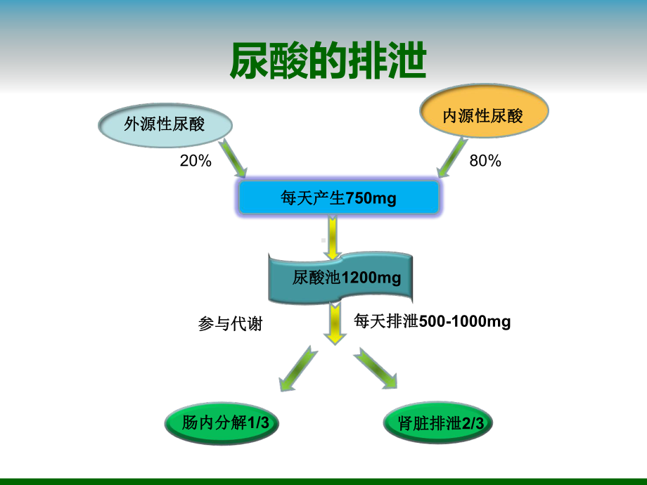 高尿酸血症-最不应忽视的健康杀手-痛风患教课件.ppt_第3页