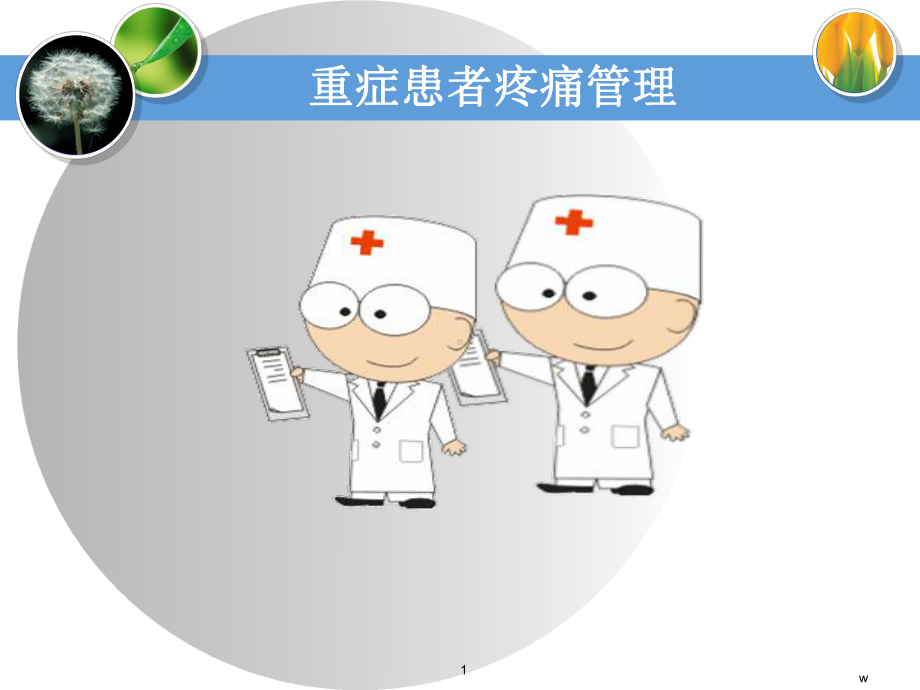 重症患者疼痛管理-课件.ppt_第1页