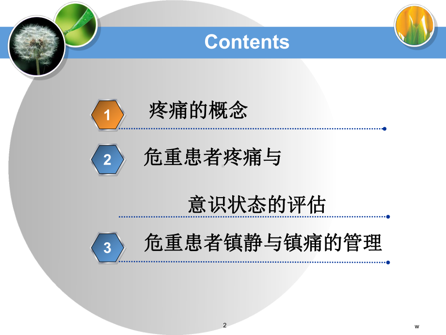 重症患者疼痛管理-课件.ppt_第2页